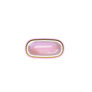 251