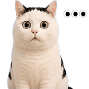 040