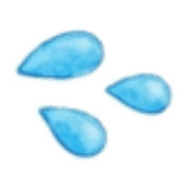 029