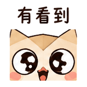 紙角貓頭鷹｜盛夏下班放空 預覽 5
