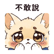 星塵狐｜盛夏出門確認 預覽 5