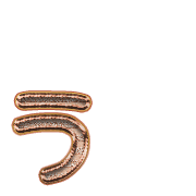 049