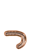 052