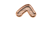 231