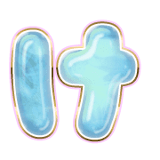 009