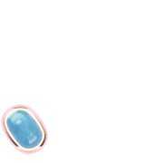 256