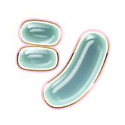 092