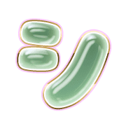 092