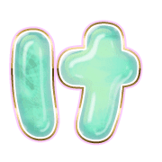 009