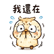 木屑鳥｜盛夏抱抱安慰 預覽 10