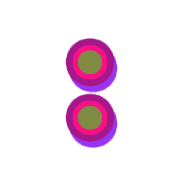 244