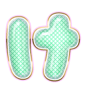 009