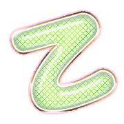 305