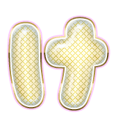 009