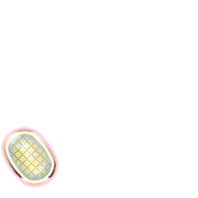 256