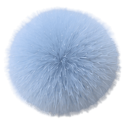 031