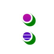 244