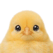 018