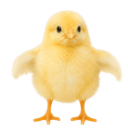 021