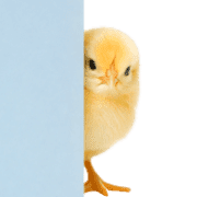 033