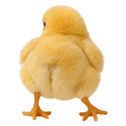 037