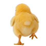 040