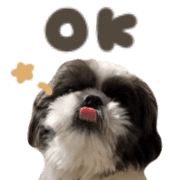 009