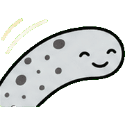 013