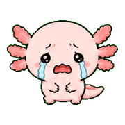 013