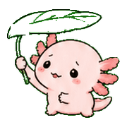 029
