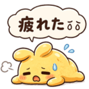 005