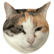 001