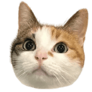 016