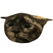 018