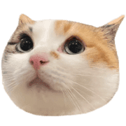 020