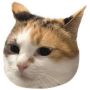 034