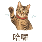 004