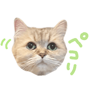015