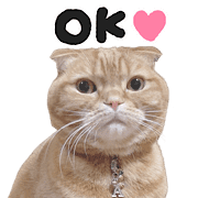 031