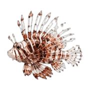 014
