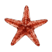 025