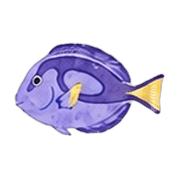 007