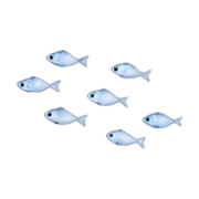 008