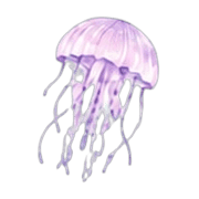 011