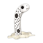 013
