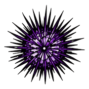 038