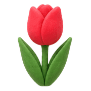 004