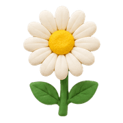 009