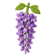 017
