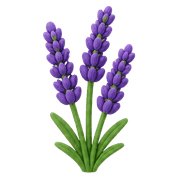 019
